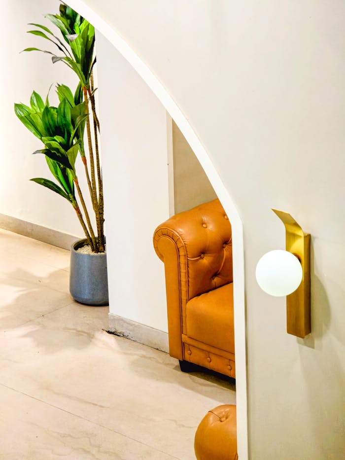 gallery-6 Stylish indoor space featuring a leather sofa, green plant, and contemporary lighting.